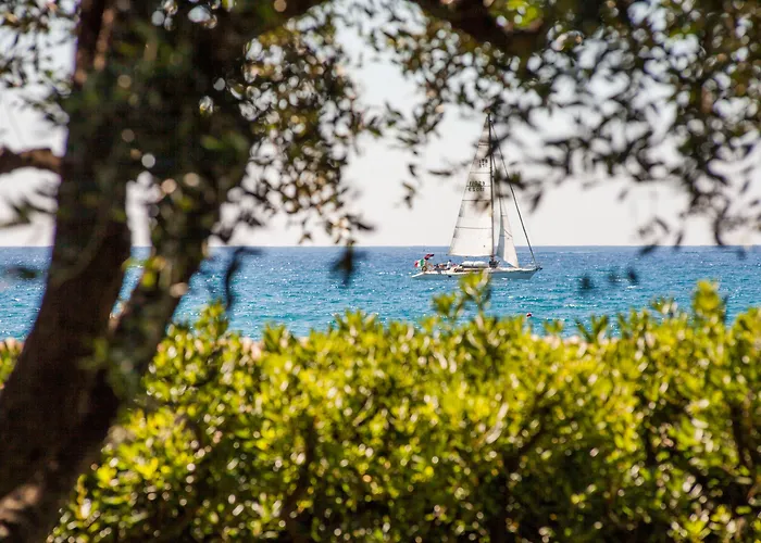 戴安娜大酒店 酒店 4*