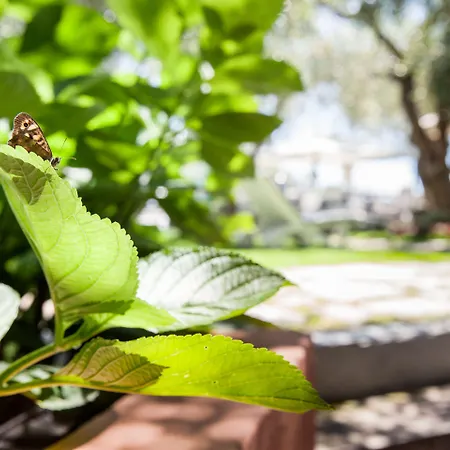 Grand Diana Majestic Szálloda Diano Marina