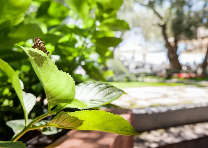 Grand Diana Majestic מלון דיאנו מרינה